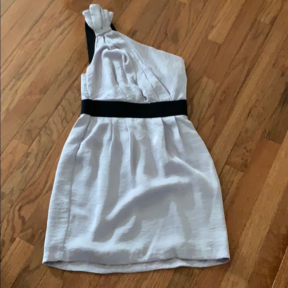 BCBG Lilac Dress
